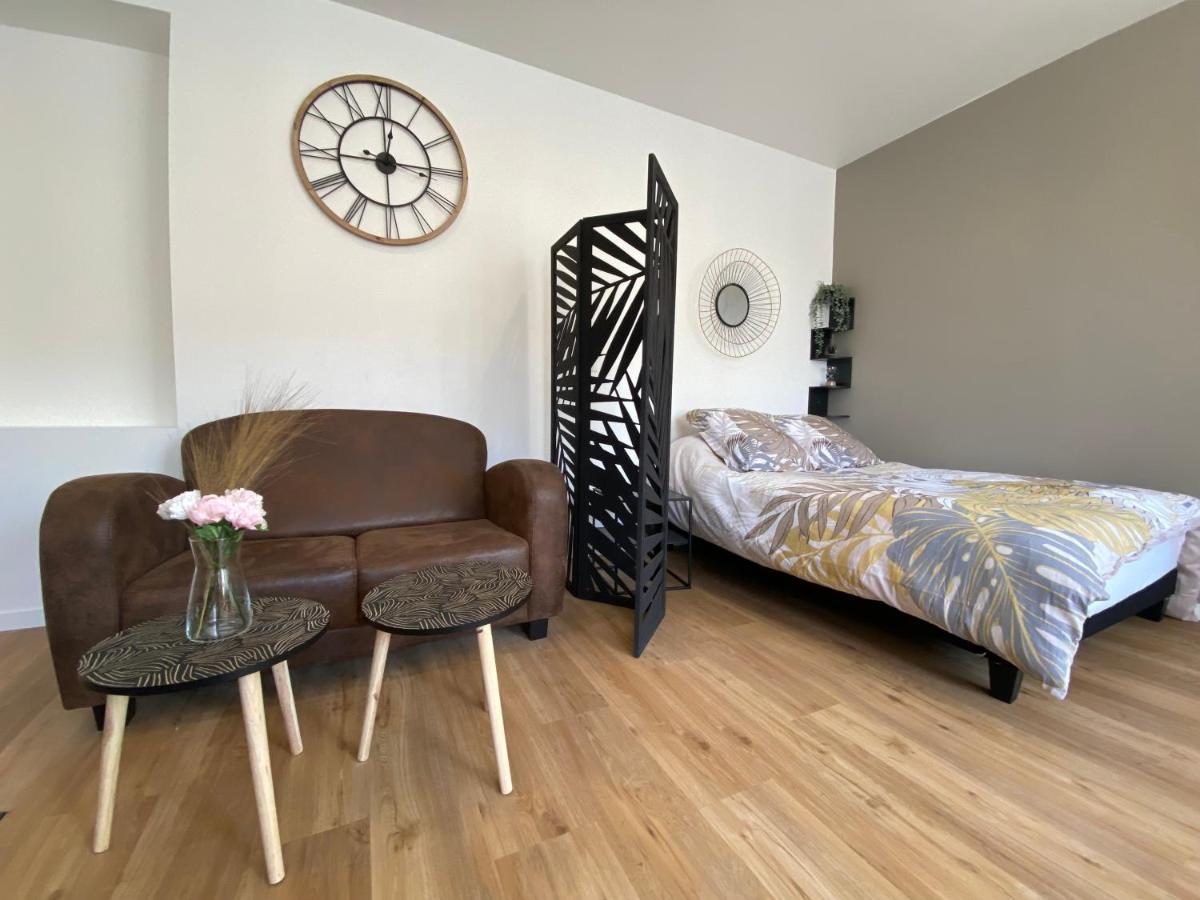 Brown Cosy * Louviers
